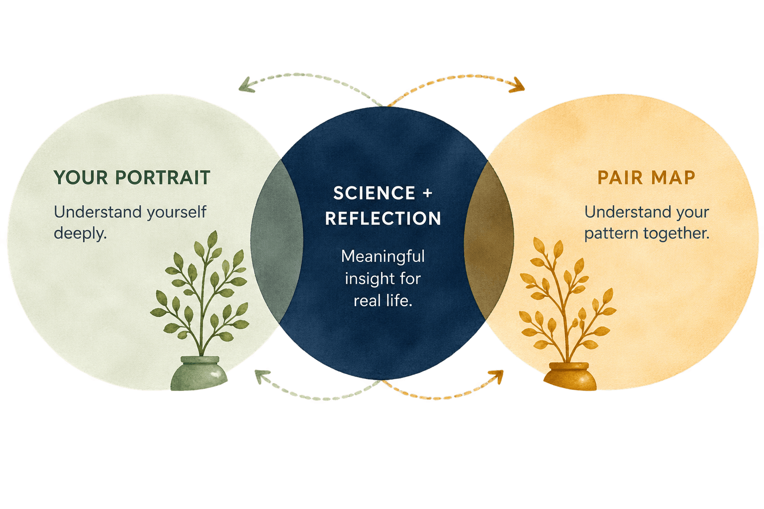 From thoughtful answers to meaningful insight